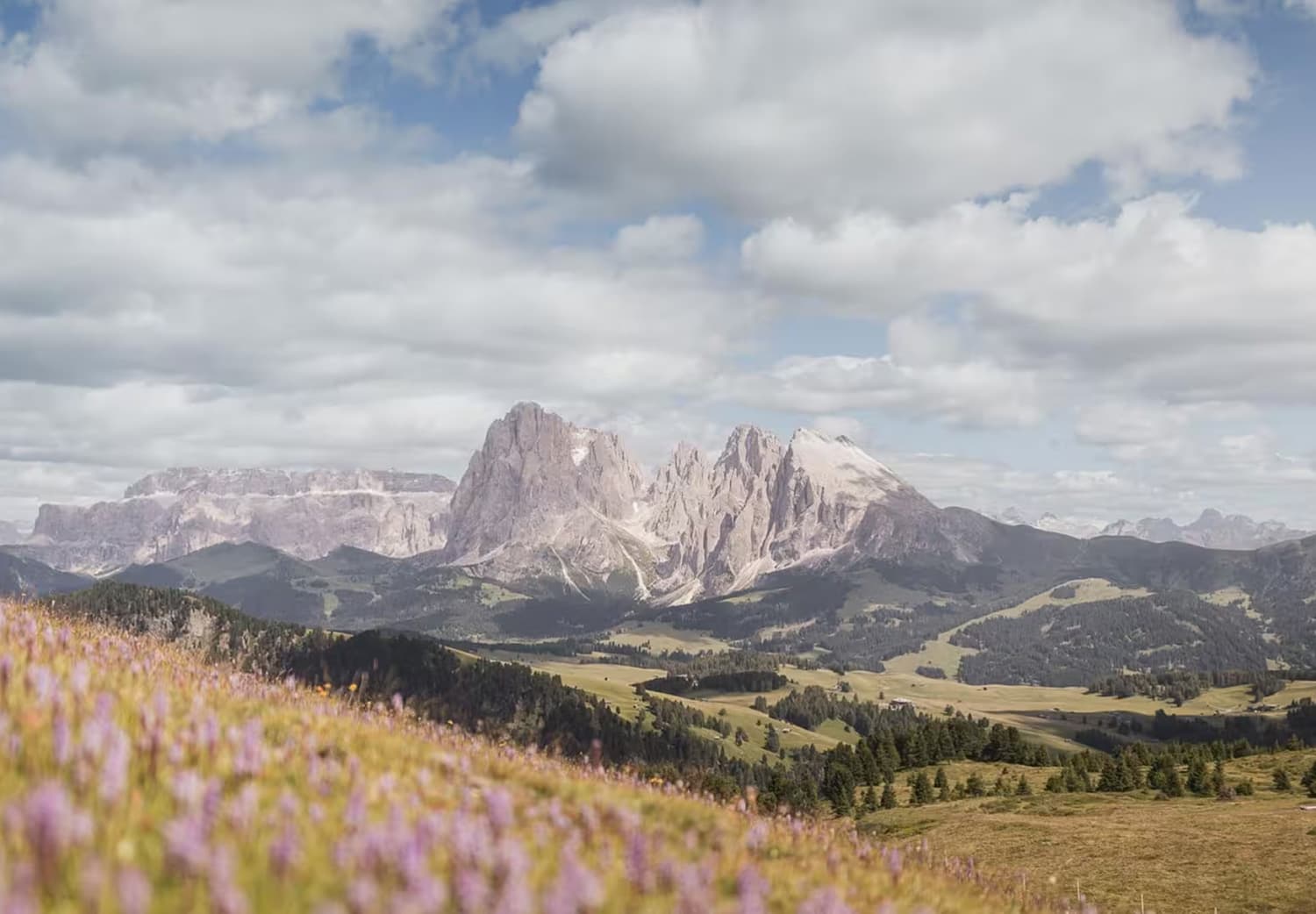 Natur pur – Seiser Alm & Dolomiten